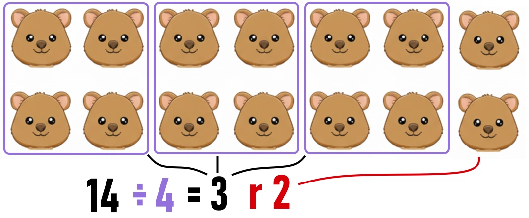 Year 4 Division grouping diagram: 14 items grouped into 4s, showing 3 groups and a remainder of 2